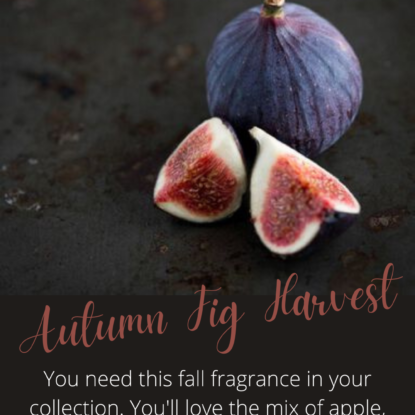 Autumn Fig Harvest | Brambleberry Fragrance Oil