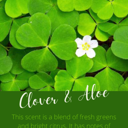 Clover & Aloe | Brambleberry Fragrance Oil