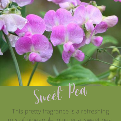 Sweet Pea | Brambleberry Fragrance Oil