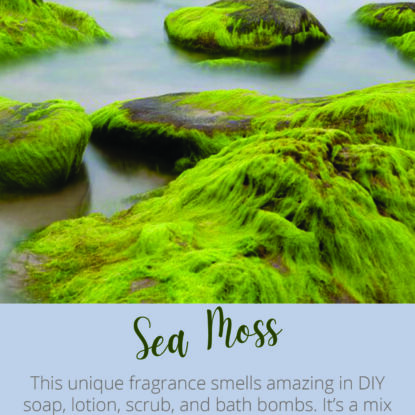 Sea Moss | Brambleberry Fragrance Oil