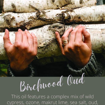 Birchwood Oud | Brambleberry Fragrance Oil