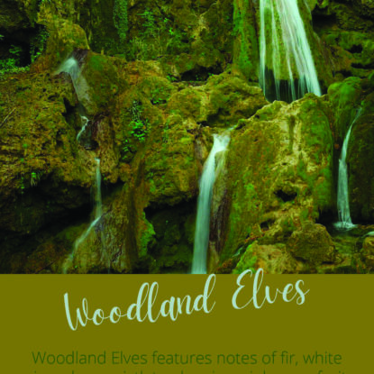 Woodland Elves | Brambleberry Fragrance Oil
