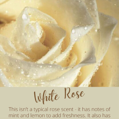 White Rose | Brambleberry Fragrance Oil