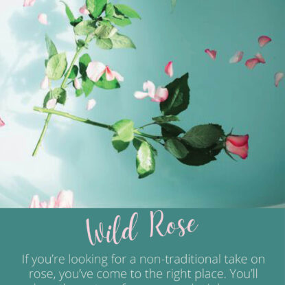 Wild Rose | Brambleberry Fragrance Oil