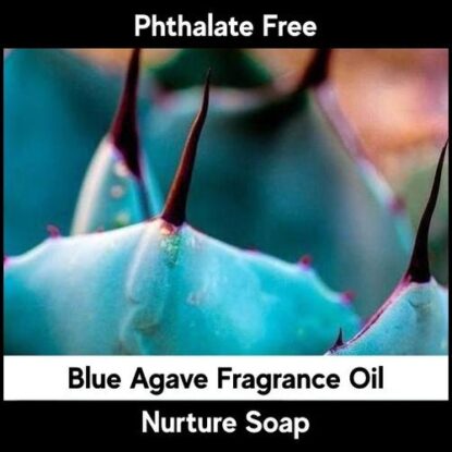Blue Agave | Nurture Soap Fragrance Oil