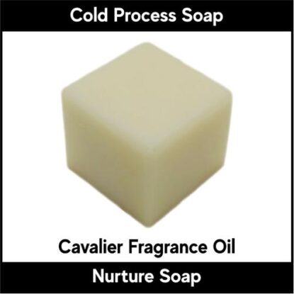 Cavalier | Nurture Soap Fragrance Oil