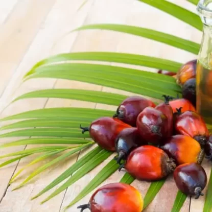Palm Oil (Segregated) | Soap and Skincare Carrier Oil